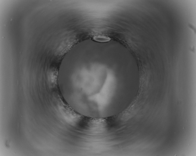 X0000102230576200808081350
