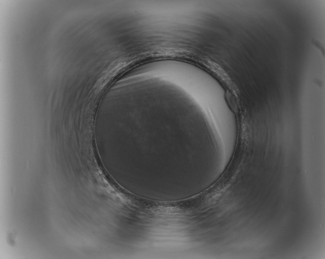 X0000102230577200808081350