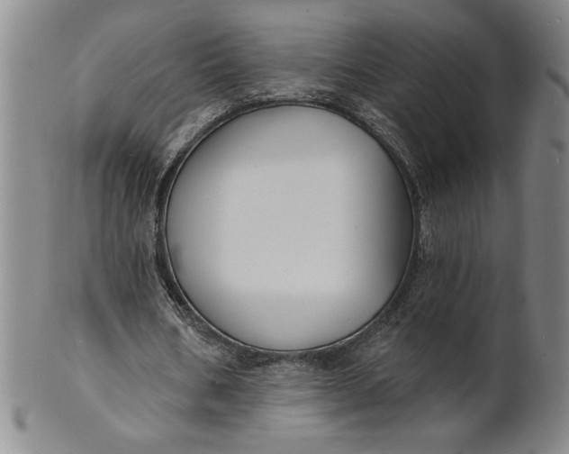 X0000102230578200808081350