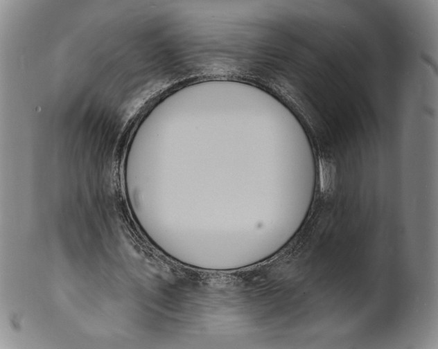 X0000102230579200808081350