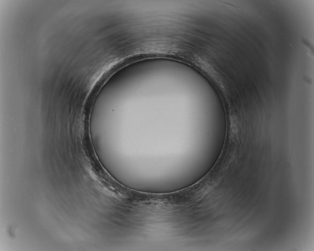 X0000102230580200808081350