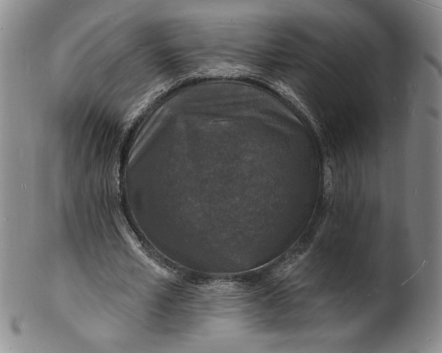 X0000102230581200808081349
