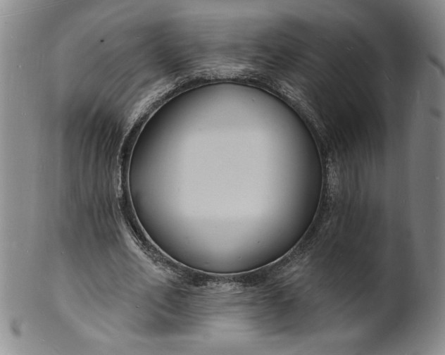 X0000102230582200808081349