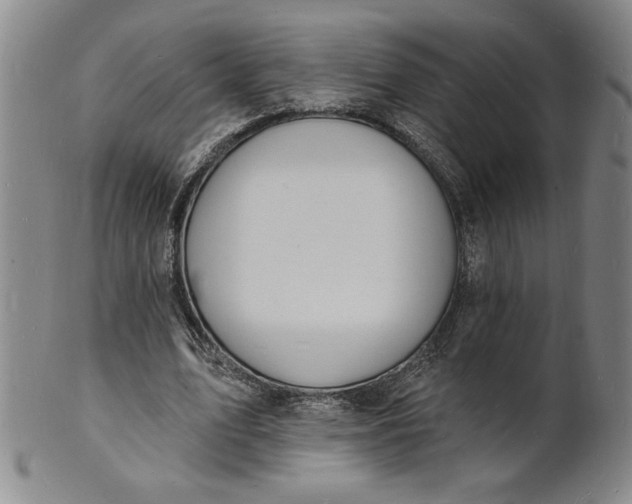 X0000102230583200808081349