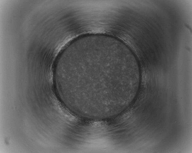 X0000102230584200808081349