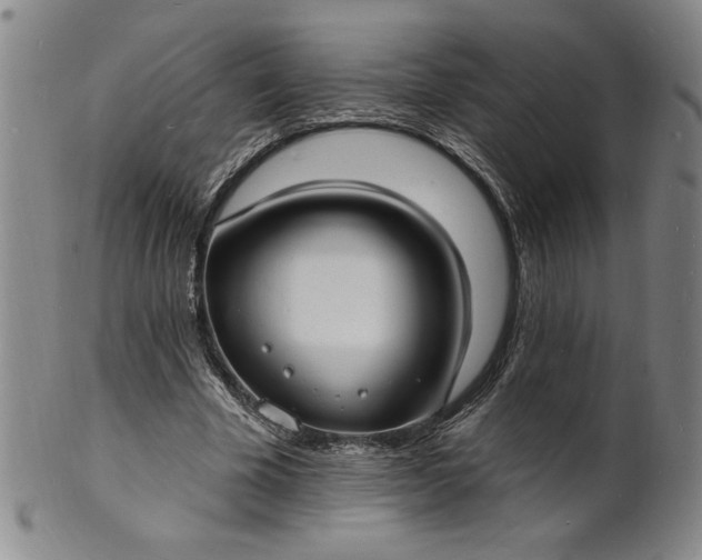 X0000102230585200808081349
