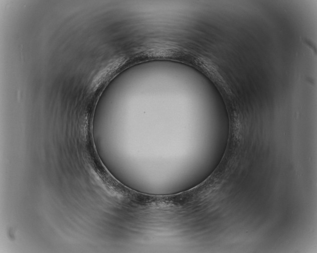X0000102230586200808081349