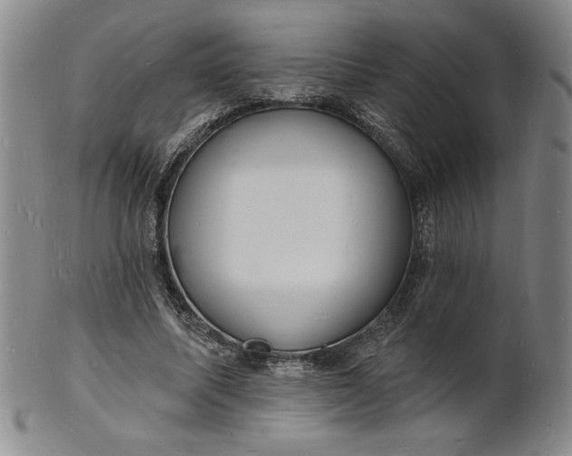 X0000102230587200808081349