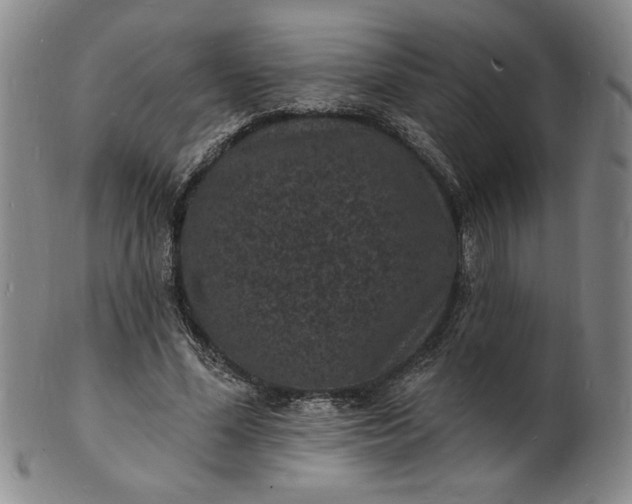 X0000102230588200808081349