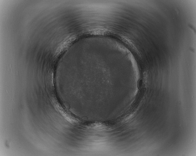 X0000102230589200808081349