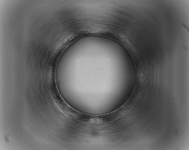 X0000102230591200808081349