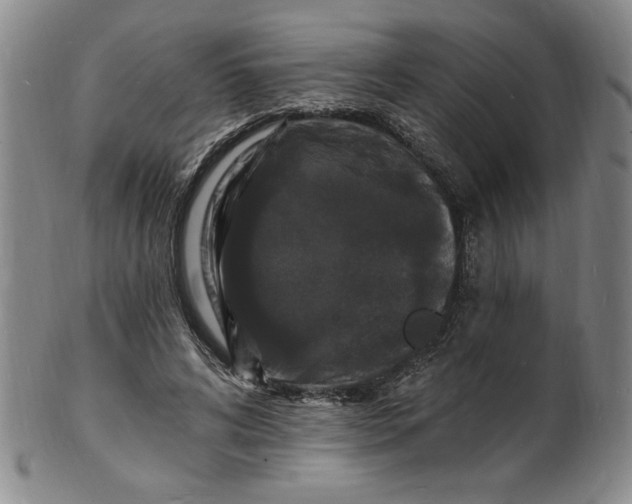 X0000102230592200808081349