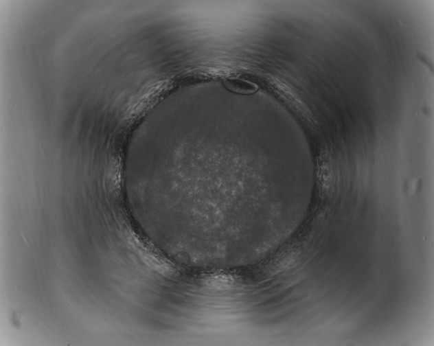 X0000102230593200808081349