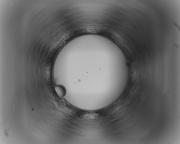 X0000102230595200808081349