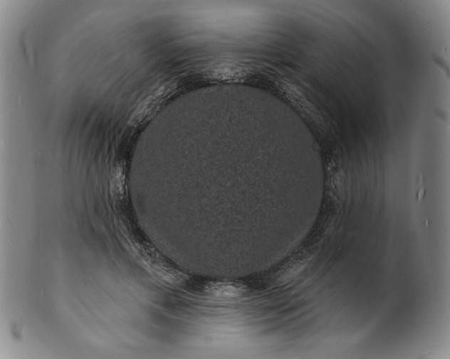X0000102230597200808081349