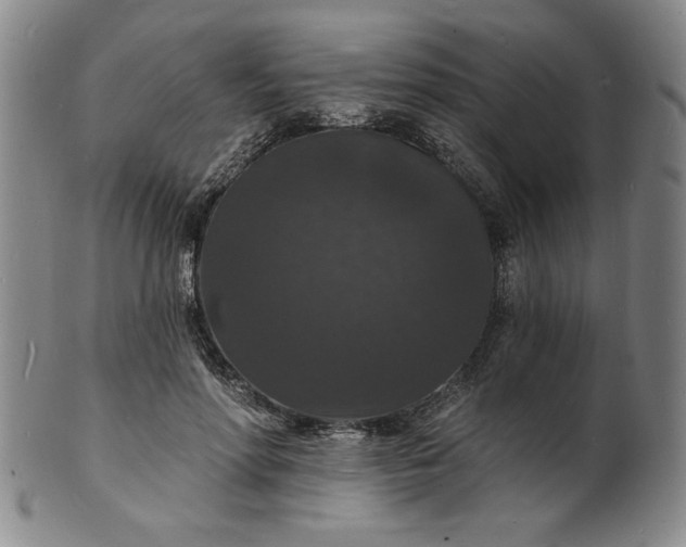 X0000102230598200808081349