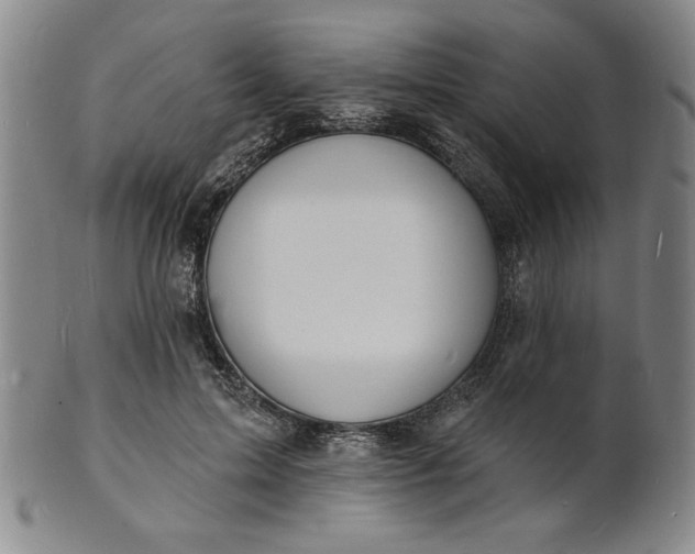 X0000102230599200808081349