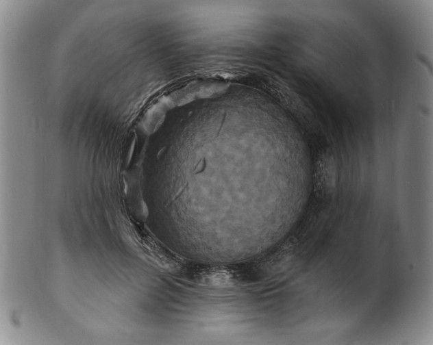X0000102230600200808081349