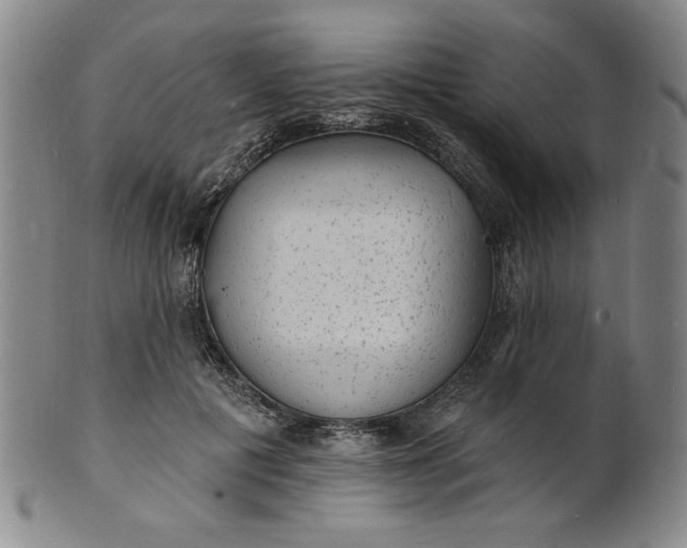 X0000102230601200808081349