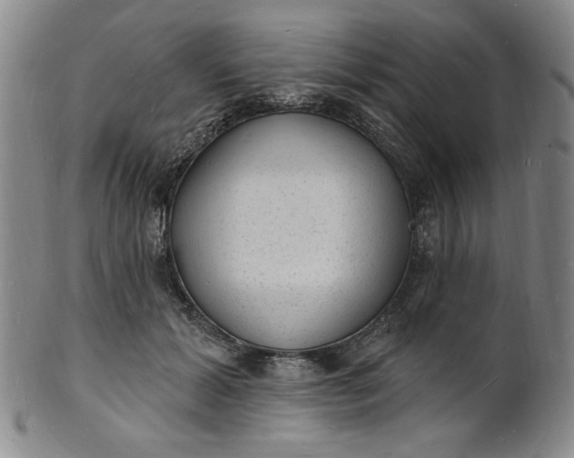 X0000102230605200808081349
