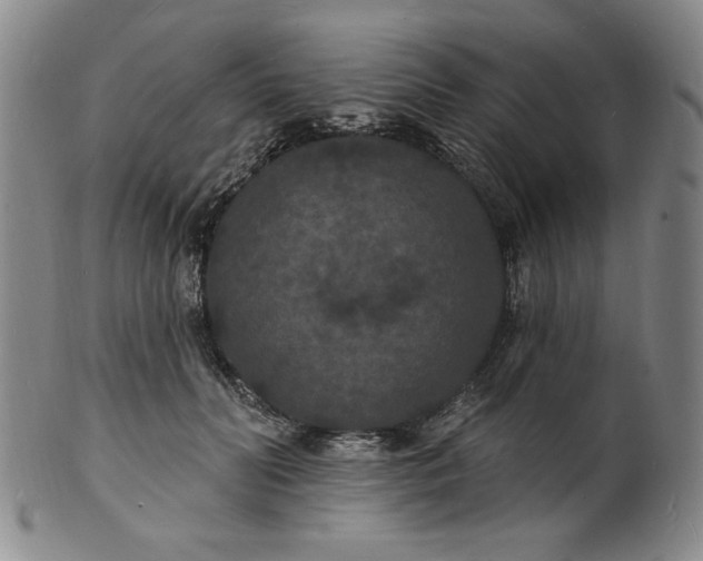 X0000102230606200808081349