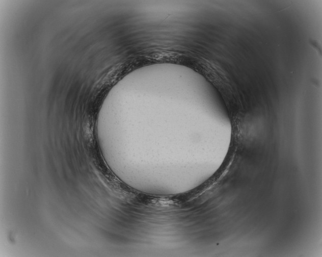 X0000102230607200808081349
