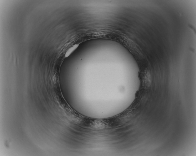 X0000102230608200808081349