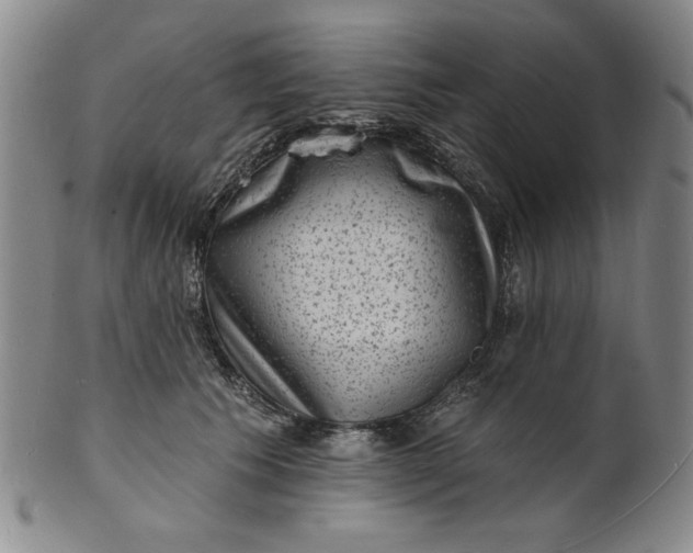 X0000102230609200808081349