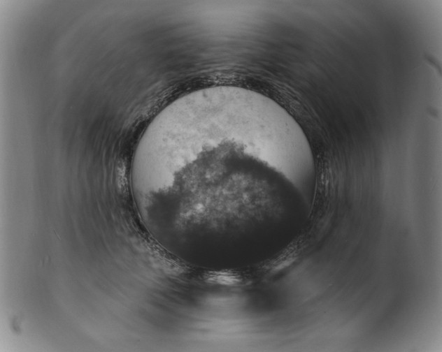 X0000102230610200808081349