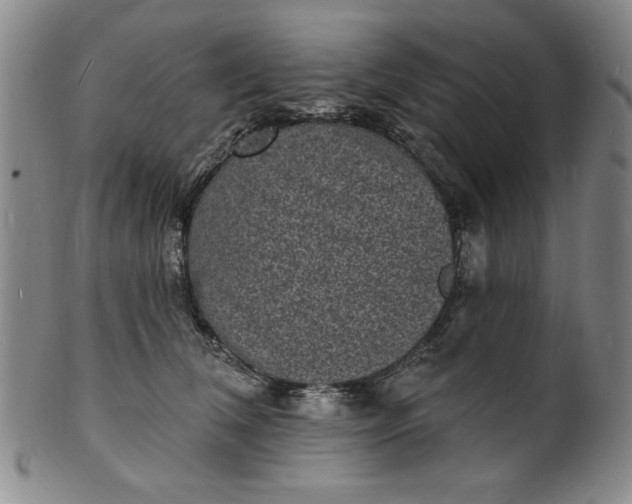 X0000102230612200808081349
