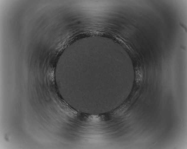 X0000102230613200808081349