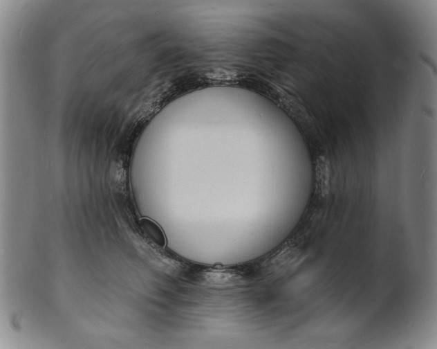 X0000102230614200808081349