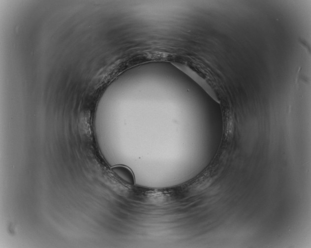 X0000102230616200808081349