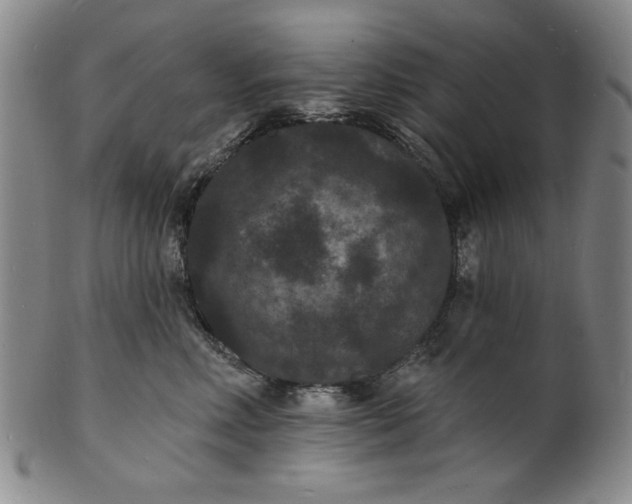 X0000102230618200808081349