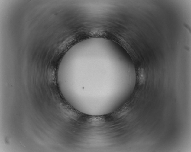 X0000102230619200808081349