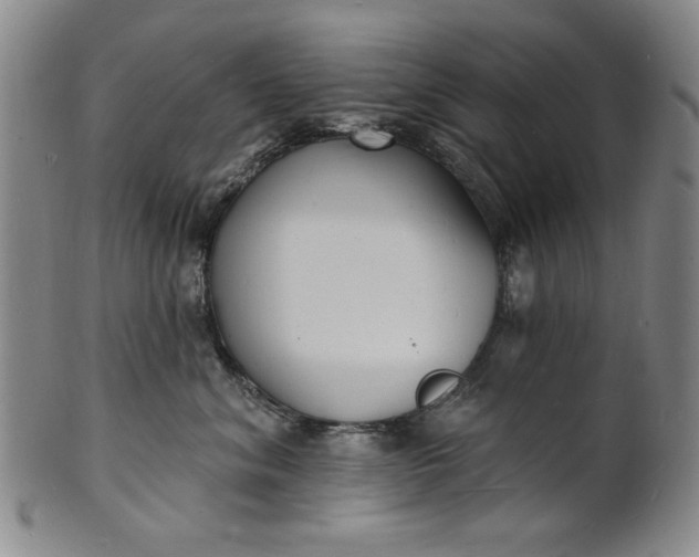 X0000102230620200808081349