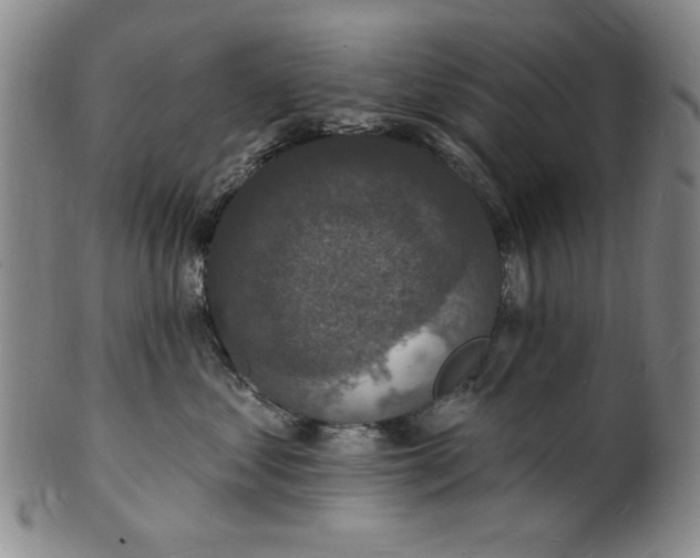 X0000102230621200808081349