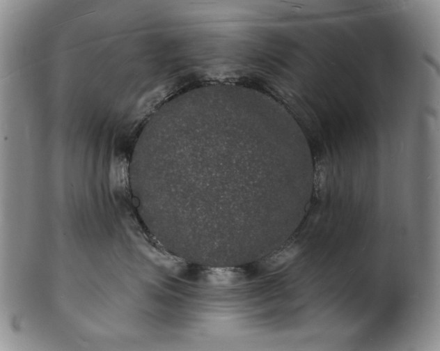 X0000102230623200808081349