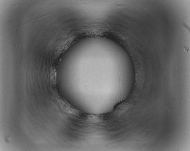 X0000102230624200808081349