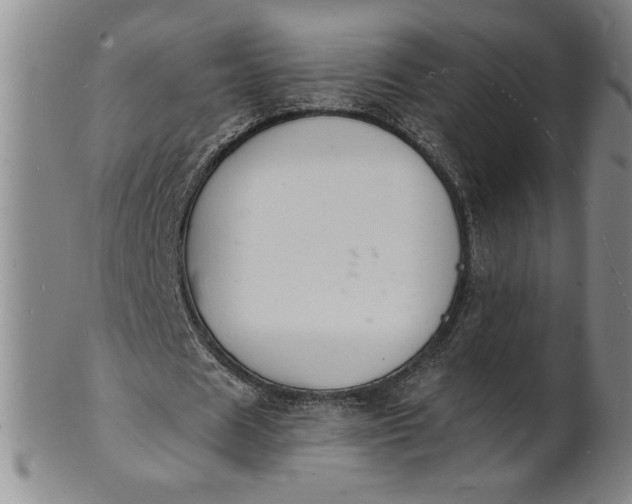 X0000102230625200808081348