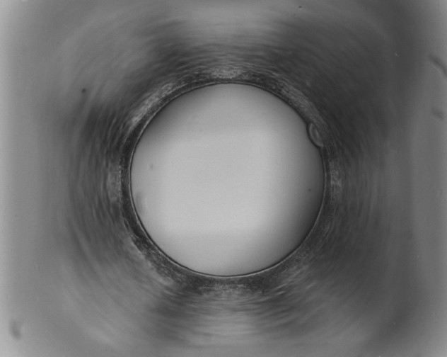 X0000102230626200808081348