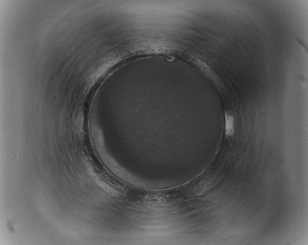 X0000102230627200808081348