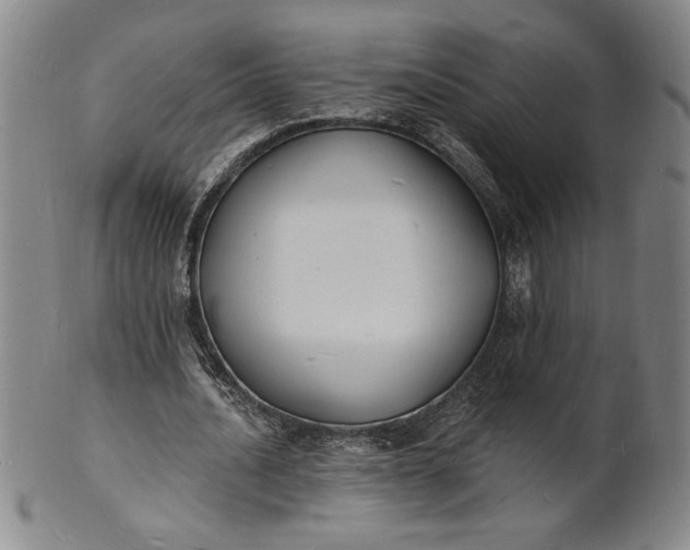 X0000102230628200808081348