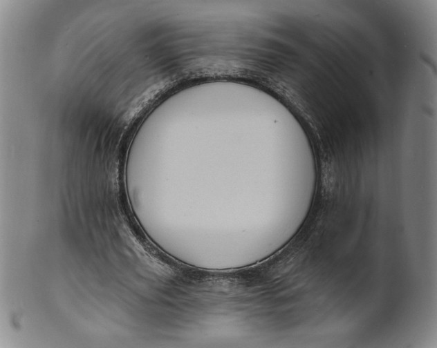 X0000102230629200808081348