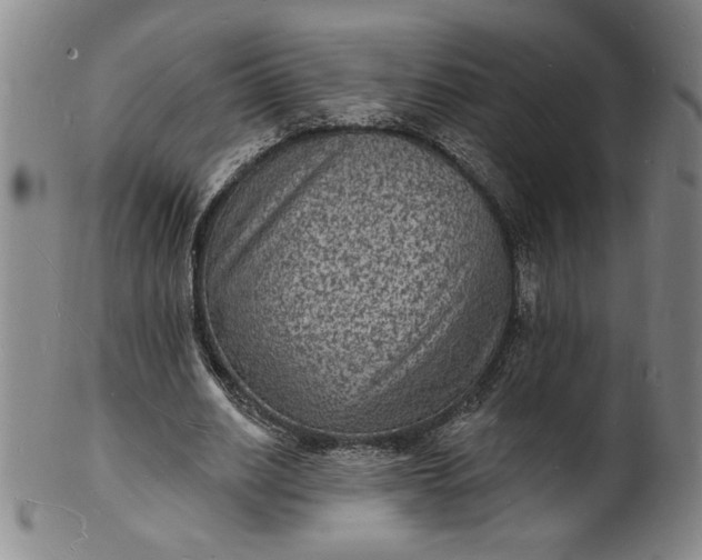 X0000102230630200808081348