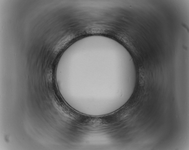 X0000102230631200808081348
