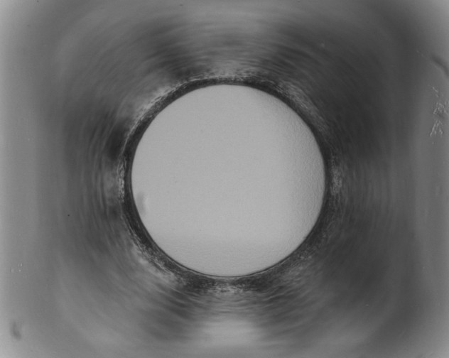 X0000102230632200808081348