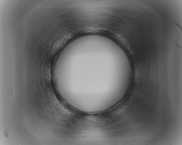 X0000102230633200808081348