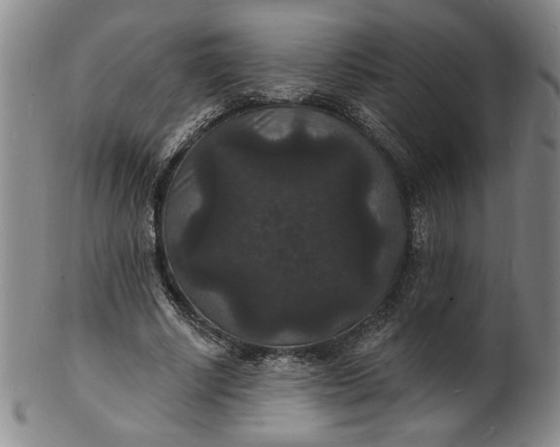 X0000102230634200808081348