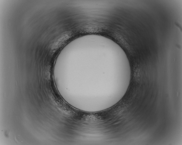 X0000102230635200808081348